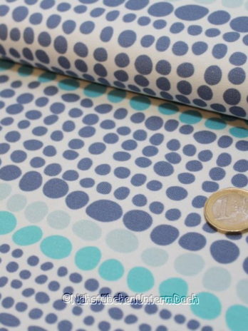 Dotty  Blaubeerstern