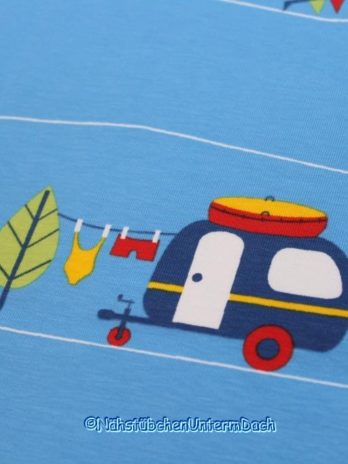 Kleine Lieblinge Blaubeerstern Motiv